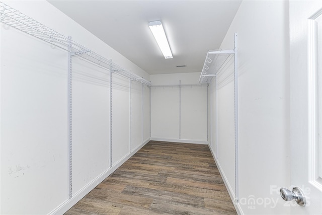 spacious closet featuring dark wood-style flooring