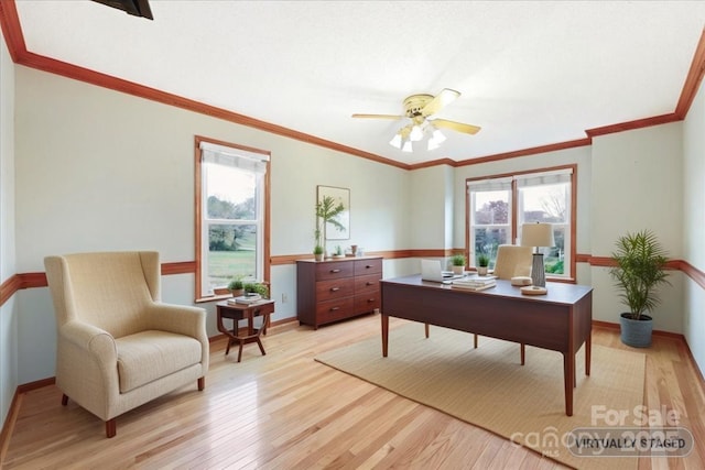 office with crown molding, ceiling fan, and light wood-type flooring