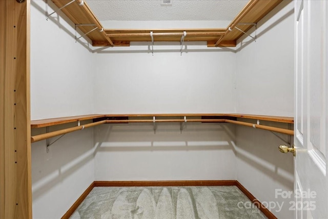 spacious closet with carpet floors