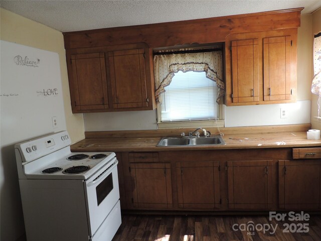 kitchen featuring dark hardwood / wood-style flooring, sink, white range with electric cooktop, and a textured ceiling