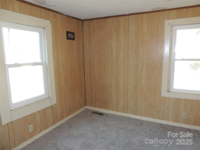 spare room featuring light carpet and wood walls