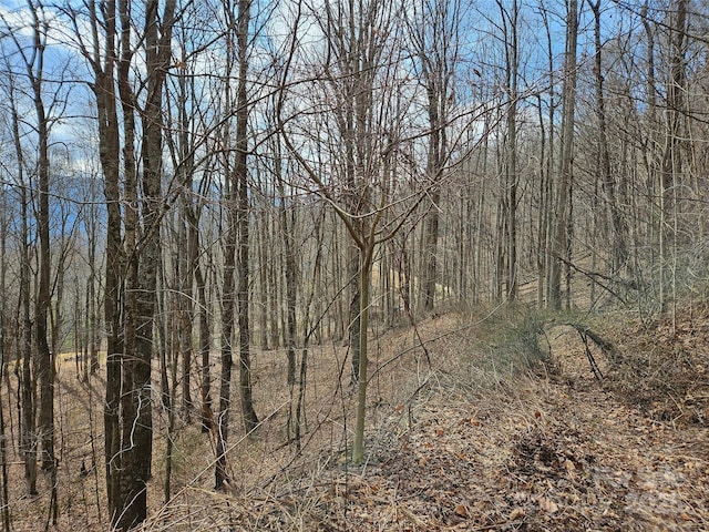 Listing photo 3 for 00 Wolverine Ct Unit 45, Waynesville NC 28785