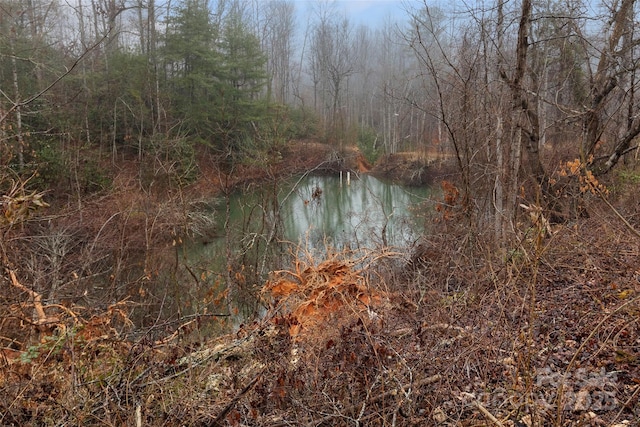 view of water feature