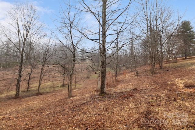 view of local wilderness