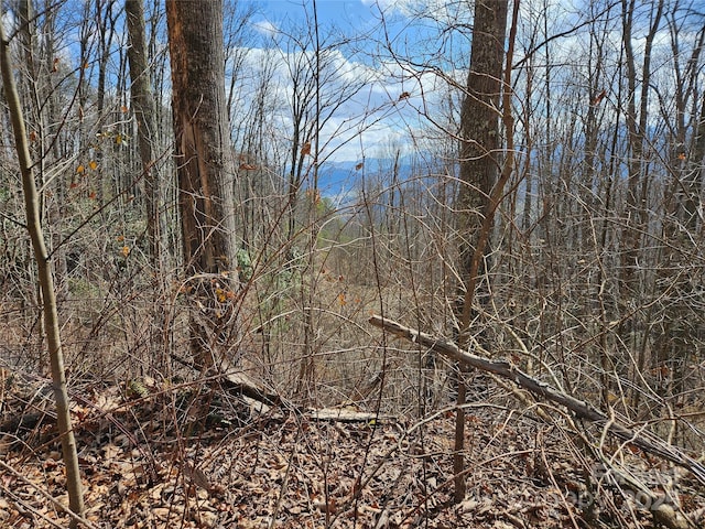 00 Wolverine Ct Unit 48, Waynesville NC, 28785 land for sale