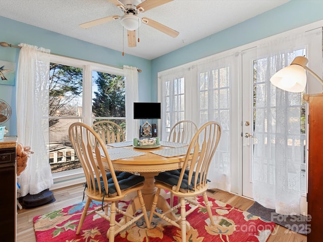 dining room featuring light hardwood / wood-style flooring, a textured ceiling, and plenty of natural light