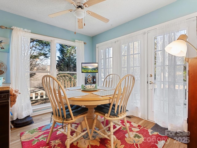 dining area featuring ceiling fan, light hardwood / wood-style floors, and a textured ceiling