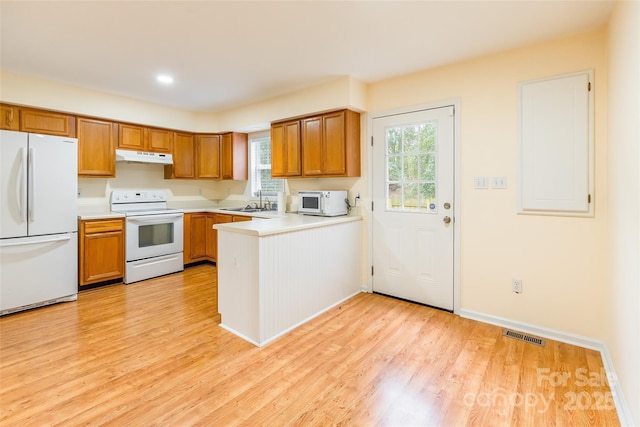 1461 Flintwood Dr, Rock Hill, SC 29732 - kitchen with white appliances, a wealth of natural light, and light hardwood / wood-style floors