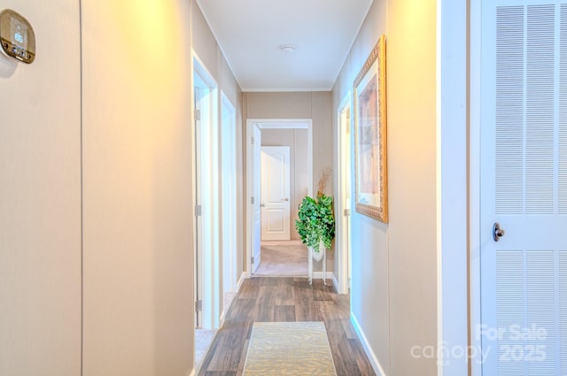 hall with hardwood / wood-style flooring