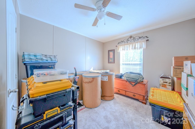 interior space with ceiling fan and carpet flooring