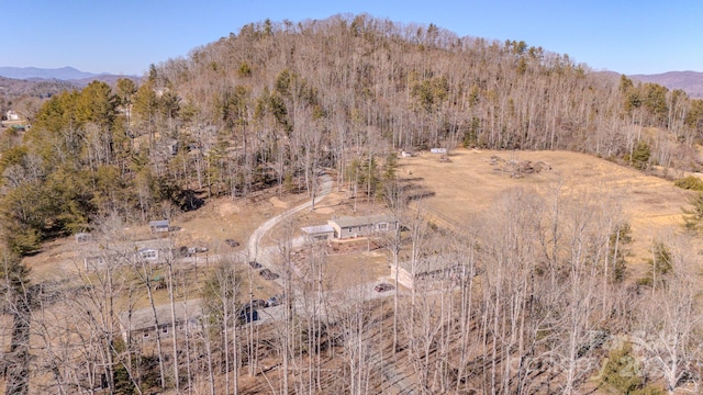 bird's eye view featuring a mountain view