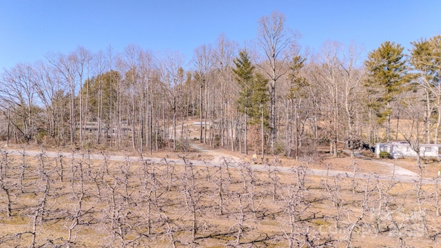 view of landscape