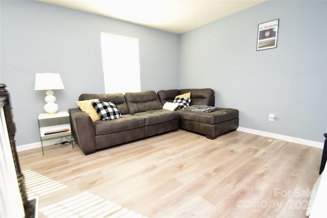 living room featuring light hardwood / wood-style floors