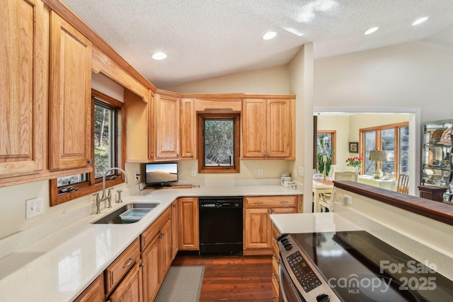 kitchen with dishwasher, lofted ceiling, stainless steel electric range oven, dark wood-style flooring, and a sink