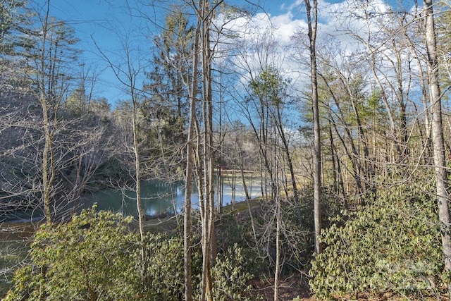 water view with a view of trees