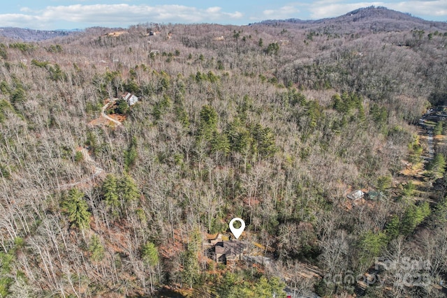 aerial view featuring a mountain view and a view of trees