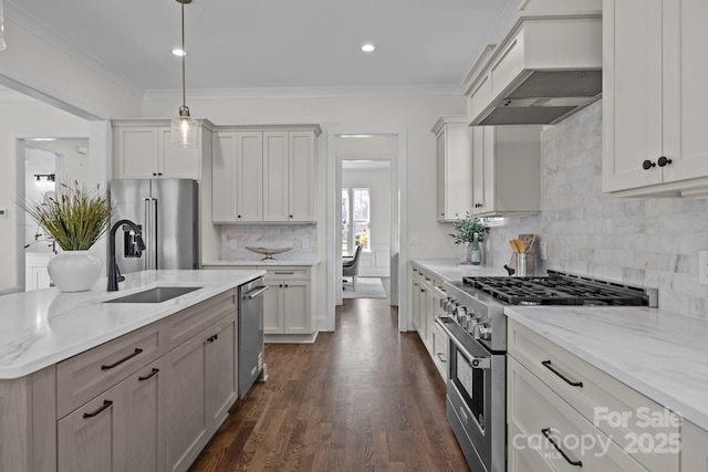 kitchen with crown molding, premium range hood, dark wood finished floors, premium appliances, and a sink