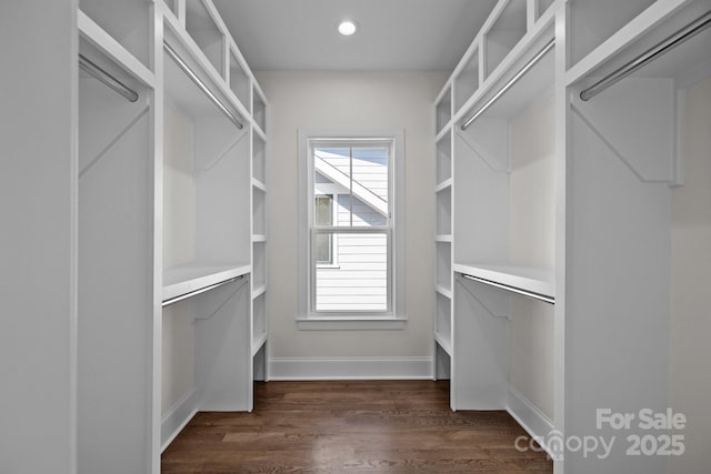 spacious closet with dark wood-style flooring