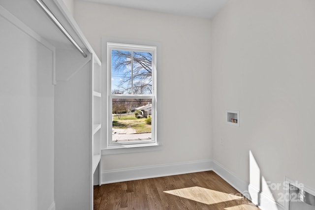 spacious closet featuring wood finished floors