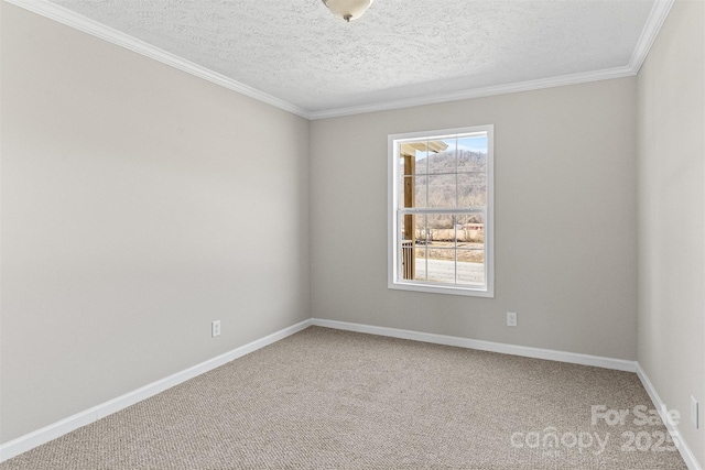 unfurnished room featuring crown molding, carpet, and a textured ceiling