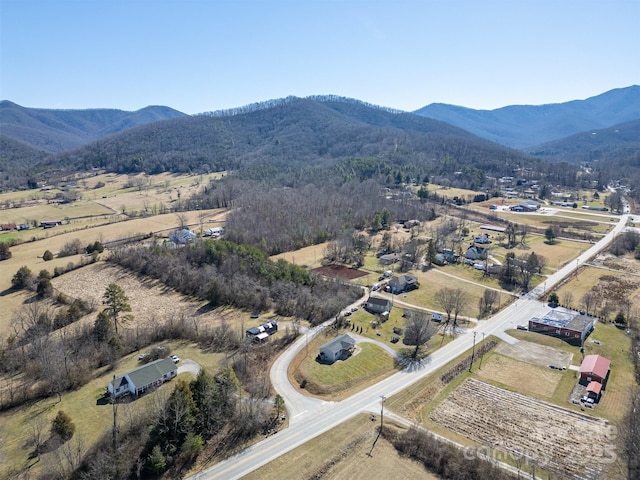 birds eye view of property featuring a mountain view