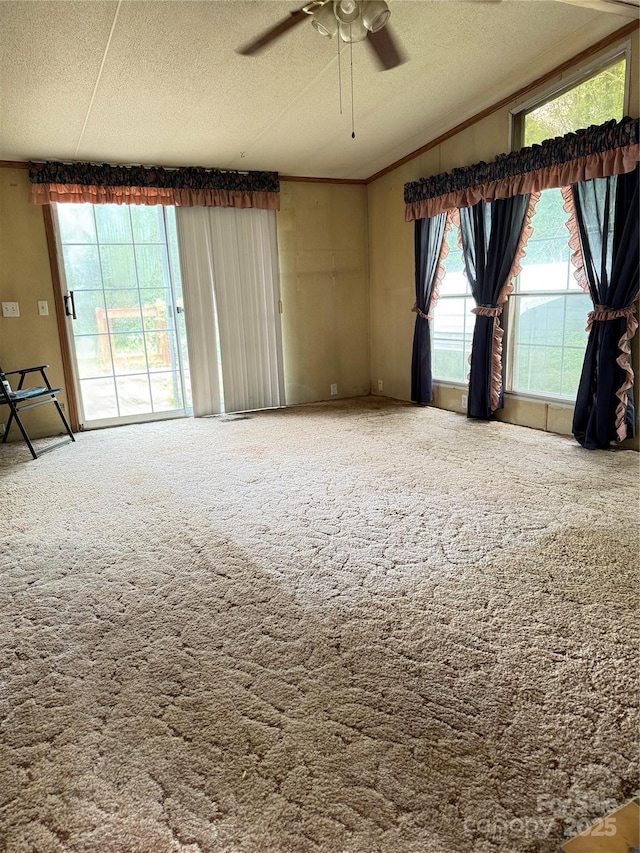 13080 Philadelphia Church Rd, Oakboro, NC 28129 - photo 6
