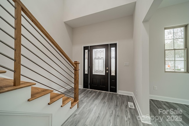 foyer entrance featuring wood-type flooring