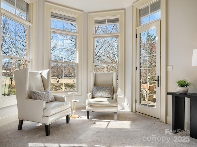 sitting room with carpet