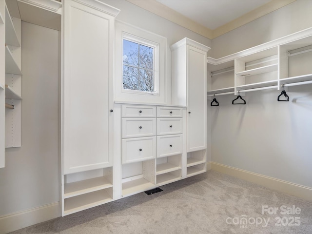 walk in closet featuring carpet flooring