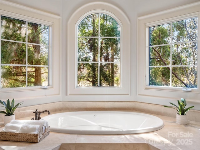 full bathroom with a healthy amount of sunlight and a bath