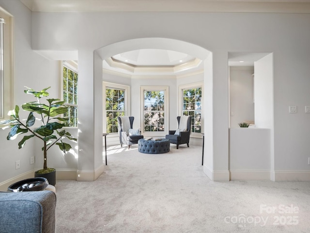 living area featuring a wealth of natural light, arched walkways, a tray ceiling, and carpet