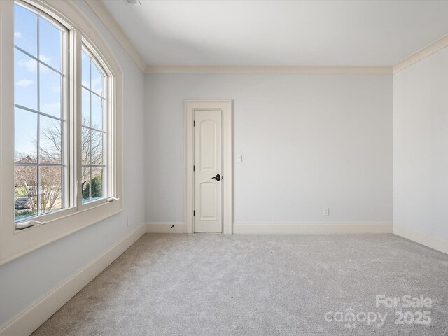 carpeted spare room with baseboards and crown molding