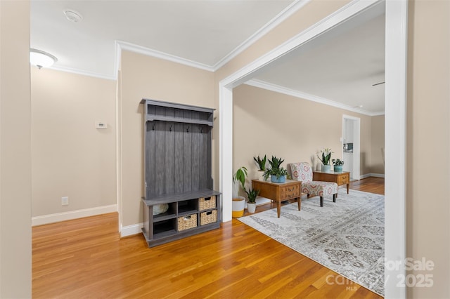 interior space featuring ornamental molding and hardwood / wood-style floors