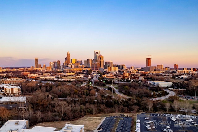 2306 Elizabeth Mill Pl, Charlotte, NC 28208 - view of city