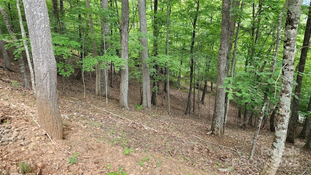 12 Hickory Springs Rd Unit 12, Burnsville NC, 28714 land for sale