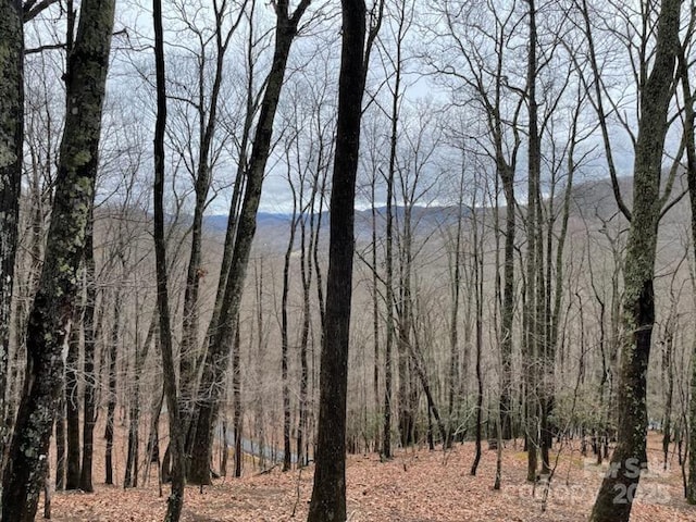 12 Hickory Springs Rd Unit 12, Burnsville, NC 28714 - photo 2