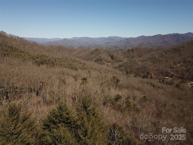 TBD Andrew Davis Rd, Whittier NC, 28789 land for sale