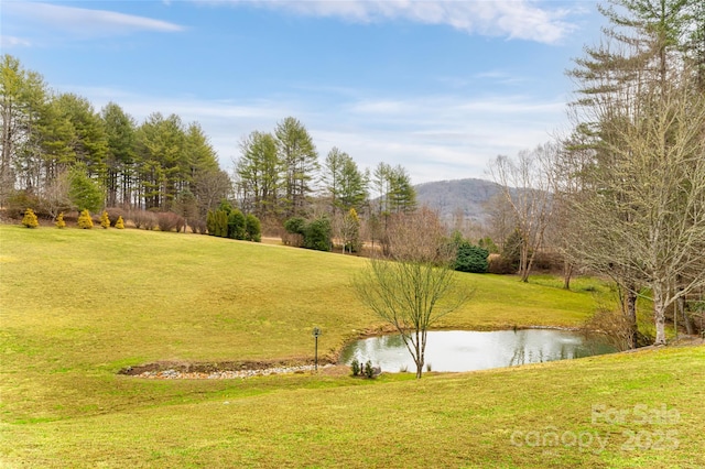 view of yard featuring a water and mountain view