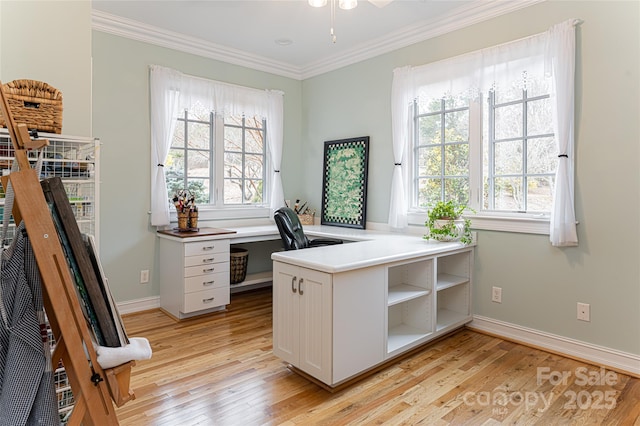 home office featuring crown molding and light hardwood / wood-style flooring