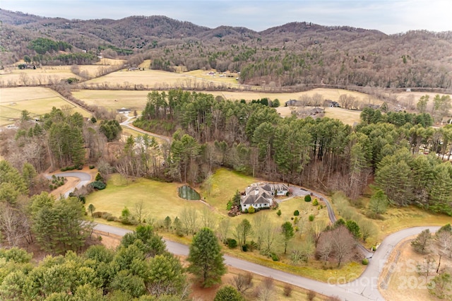 bird's eye view with a mountain view