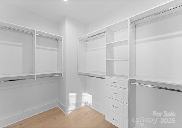 walk in closet with light wood-type flooring