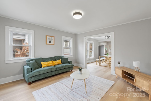 living room with crown molding and light hardwood / wood-style flooring