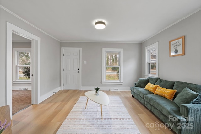 living room featuring ornamental molding and light wood-type flooring