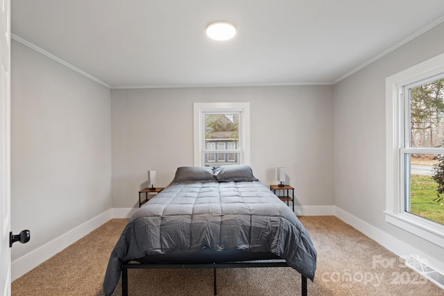 bedroom with crown molding, carpet, and multiple windows