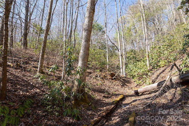 view of nature with a wooded view