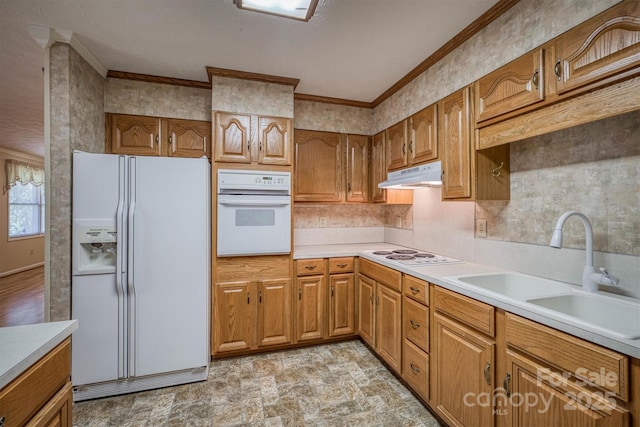kitchen featuring white appliances, light countertops, under cabinet range hood, brown cabinets, and a sink
