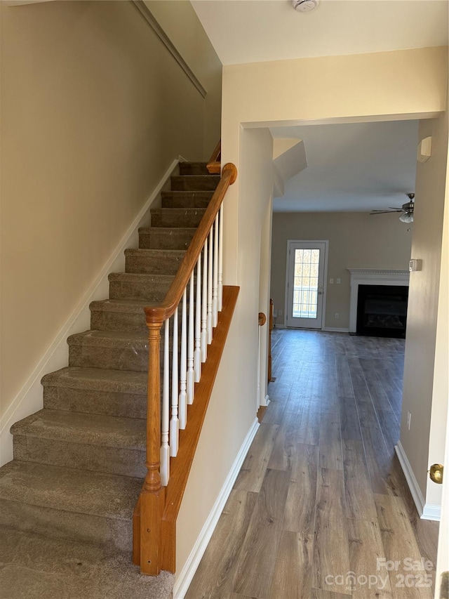 staircase featuring a fireplace, ceiling fan, baseboards, and wood finished floors