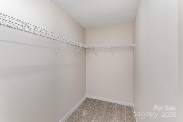 spacious closet with carpet flooring