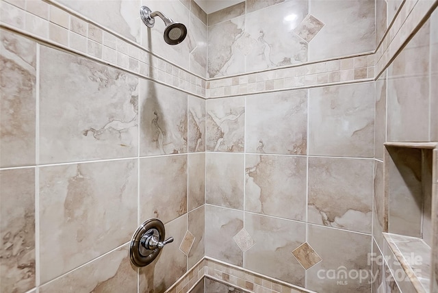 interior details with tiled shower