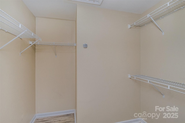 walk in closet featuring hardwood / wood-style flooring